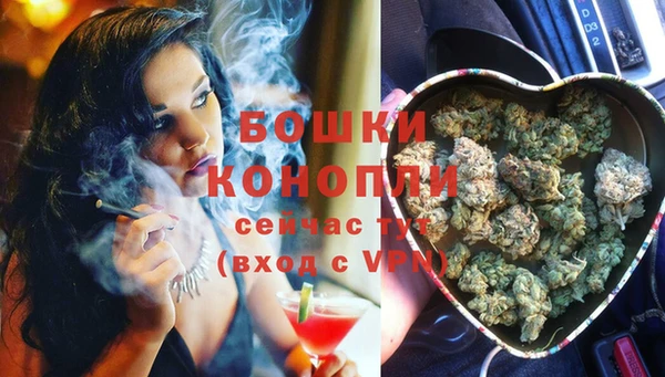 сатива Нефтекумск