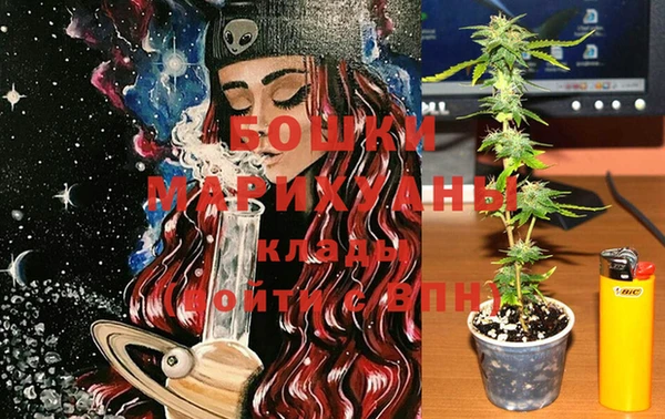 мяу мяу мука Белокуриха