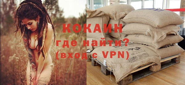 мяу мяу мука Белокуриха