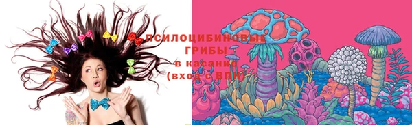 мяу мяу мука Белокуриха