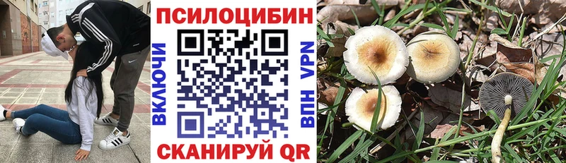 Галлюциногенные грибы MAGIC MUSHROOMS  Коммунар 